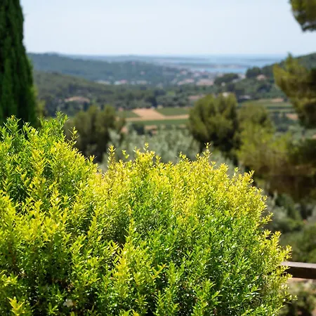 La Belle Bleue, Piscine Chauffée, Vue Mer, Proche Bandol Villa Sanary-sur-Mer